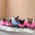Ladies Turkey Winter Warm Sweater Soft Comfortable Pet Clothes Pets Cosplay Costume For Small Medium Large Dogs light blue M