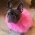 Ladies Turkey Winter Warm Sweater Soft Comfortable Pet Clothes Pets Cosplay Costume For Small Medium Large Dogs light blue M