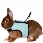 Leash Rope Nylon Vest-style Chest Pet Walking Rope For Squirrel Hamster Guinea Pig blue