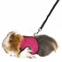 Leash Rope Nylon Vest style Chest Pet Walking Rope For Squirrel Hamster Guinea Pig blue