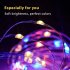 Led Christmas Tree Lamp Bluetooth App Controlled RGB Colorful Usb String Lights 30 meters 300 lights