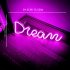 Led Dream Shape Neon Lamp Usb Charging Birthday Wedding Holiday Supply For Living Room Wall Decoration pink