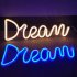 Led Dream Shape Neon Lamp Usb Charging Birthday Wedding Holiday Supply For Living Room Wall Decoration Warm White