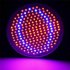 Led Grow Light Energy Saving Growing Lamp Promoting Plant Growth For Indoor Plants Hydroponics Plant light   EU clip