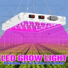 Led Grow Light Indoor IP65 Waterproof Dustproof Plant Lamp