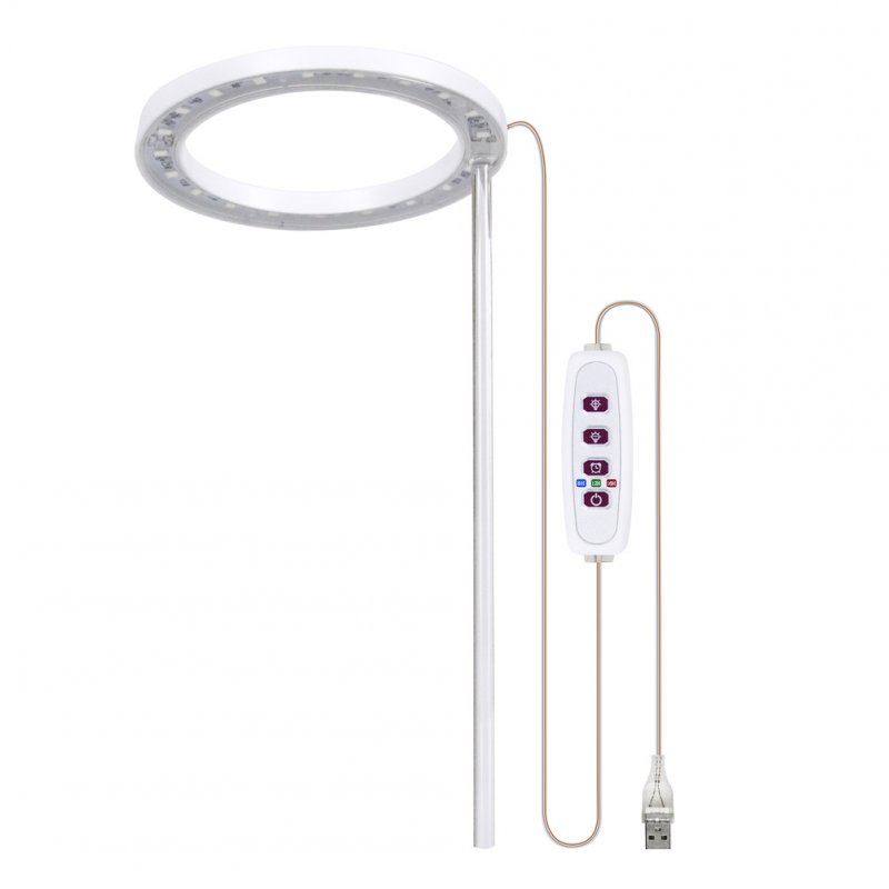 Led  Light Ange