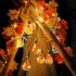 Led Light  Bulb  String Room Decoration For Halloween Thanksgiving Maple Leaf Shape Ornament