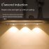 Led Light Strips 3 color Smart Human Body Sensor Adjustable Brightness Cabinet Corridor Bookcase Night Lights 20CM