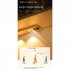 Led Light Strips 3 color Smart Human Body Sensor Adjustable Brightness Cabinet Corridor Bookcase Night Lights 20CM