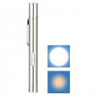 Led Pen Light 2 Lighting Modes Lightweight Flashlight Torch with Metal Clip