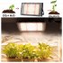 Led Plant Grow Light Full Spectrum 380 840nm Sunlight Growing Lamp with Stand for Indoor Plants Veg Flower 300W