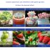 Led Plant Grow Light Full Spectrum 380 840nm Sunlight Growing Lamp with Stand for Indoor Plants Veg Flower 300W