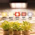 Led Plant Grow Light Full Spectrum 380 840nm Sunlight Growing Lamp with Stand for Indoor Plants Veg Flower 300W