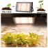 Led Plant Grow Light Full Spectrum 380 840nm Sunlight Growing Lamp with Stand for Indoor Plants Veg Flower 50W
