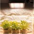 Led Plant Grow Light Full Spectrum 380 840nm Sunlight Growing Lamp with Stand for Indoor Plants Veg Flower 100W