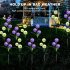 Led Solar Lights 3 head Simulation Dandelion Decoration Lamp For Outdoor Lawn Balcony Patio Yard purple