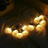Led String Lights  IP44 Waterproof Atmosphere Lamp Fairy Lights For Halloween Tree Window Yard Decoration  3 meters 20 lights 