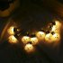 Led String Lights  IP44 Waterproof Atmosphere Lamp Fairy Lights For Halloween Tree Window Yard Decoration  3 meters 20 lights 