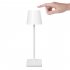 Led Table Lamp Dimming Usb Charging Built in 3600mah Battery Touch Night Light For Bedroom Hotel Restaurant Bar silver