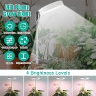 Led Telescopic Plant Grow Light Full Spectrum Timing Plant Growing Lamp For Succulent Flowers Indoor Plants 3.5 inch 5W white