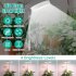 Led Telescopic Plant Grow Light Full Spectrum Timing Plant Growing Lamp For Succulent Flowers Indoor Plants 3 5 inch 5W white