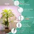 Led Telescopic Plant Grow Light Full Spectrum Timing Plant Growing Lamp For Succulent Flowers Indoor Plants 3 5 inch 5W white