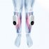 Leg Massager  Air Compression Calf Massager 3 Modes 3 Intensities  Wireless Air Compression Calf Massager For Leg Pain Relief   Circulation  Muscles Relaxation  s
