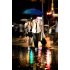 Let this Twilight Umbrella drive away your boredom and brighten up your mood during those dull rainy days 