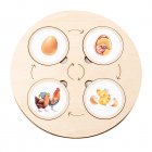 Life Cycle Board Animal Plant Life Cycle Wooden Jigsaw Puzzle Biology Science Education Toys Teaching Aids As shown