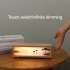 Light Painting Night Light Led With Touch Switch Socket Power Supply Cordless Charging Picture Light Modern LED Table Night Light For Living Room Bedroom Ginkgo