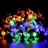 Light up your life with this LED Light string  Perfect for decorating your house or garden  this LED light string is solar powered and never runs out of juice  