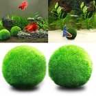 Living Green Seaweed Ball for Aquarium Fish Tank Decoration green
