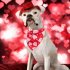 Love Heart Pattern Pet Cat Dog Saliva Towel Triangular Bandage for Valentine s Day red