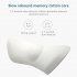 Lumbar Support Pillow Memory Foam Low Back Pain Relief Ergonomic line For Car Seat Office Chair Recliner Bed sky blue mesh