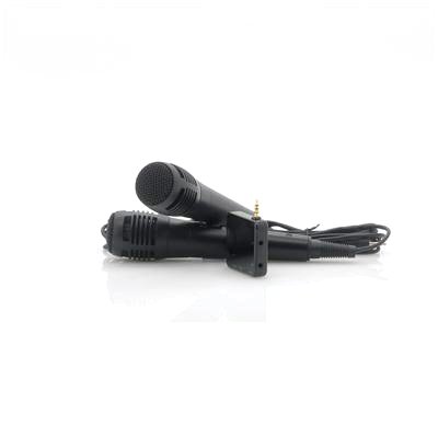Portable Karaoke Player With 2 Microphones 