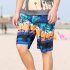 Male Beach Shorts Elastic Waist Pants with Coconut Tree Printed Leisure Vacation Wear blue 6XL