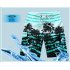 Male Beach Shorts Quick Dry Pants with Strips and Coconut Tree Printed Vacation Wear yellow L