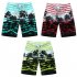 Male Beach Shorts Quick Dry Pants with Strips and Coconut Tree Printed Vacation Wear yellow L