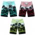 Male Beach Shorts Quick Dry Pants with Strips and Coconut Tree Printed Vacation Wear red L