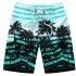 Male Beach Shorts Quick Dry Pants with Strips and Coconut Tree Printed Vacation Wear red 6XL