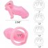 Male Chastity Cage with 2 Brass Locks Adjustable Silicone Cock Cage with 4 Rings for Male Penis Exercise  Pink