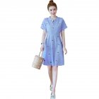 Medium Style Stripes Printing Embroidered Dress for Pregnant Woman blue_XL