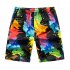 Men Beach Pants Quick Dry Casual Large Size Loose Shorts Ink painting XL