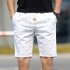 Men Cotton Middle Length Trousers Baggy Fashion Slacks Sport Beach Shorts White  fish bone  XXL
