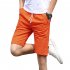 Men Cotton Middle Length Trousers Baggy Fashion Slacks Sport Beach Shorts Khaki  fish bone  L