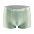 Men Cotton Underwear Summer Soft Breathable Stretch Mesh Large Size Ice Silk Boxer Briefs Underpants dark grey XXL
