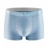 Men Cotton Underwear Summer Soft Breathable Stretch Mesh Large Size Ice Silk Boxer Briefs Underpants dark grey L