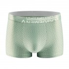 Men Cotton Underwear Summer Soft Breathable Stretch Mesh Large Size Ice Silk Boxer Briefs Underpants green XXXXL