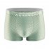 Men Cotton Underwear Summer Soft Breathable Stretch Mesh Large Size Ice Silk Boxer Briefs Underpants green XXXL