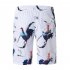 Men Fashion Breathable Loose Quick drying Casual Printed Shorts Beach Pants White cock XL